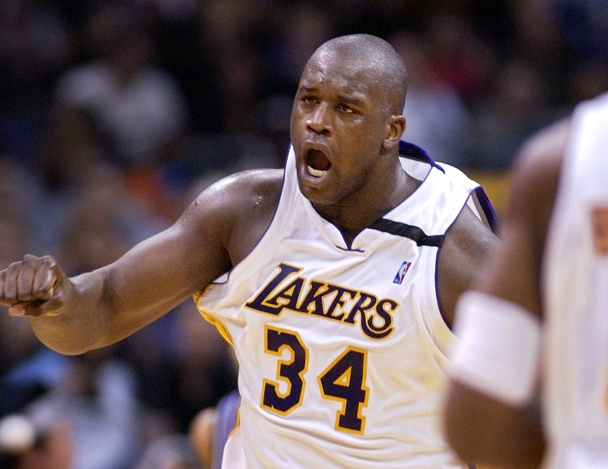 赛场贡献 赛场贡献