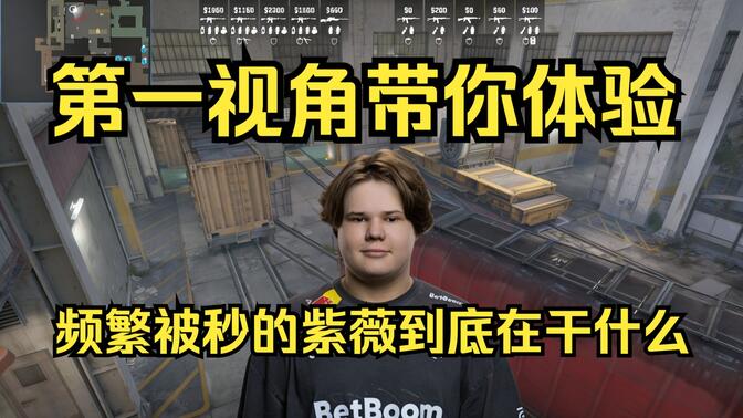 以功能型打
